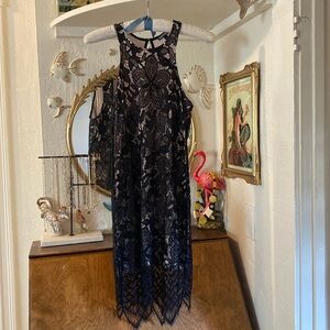 Express lace overlay dress